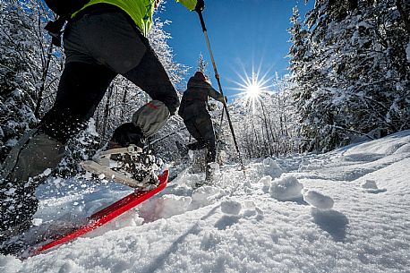 Snowshoeing in Val Saisera