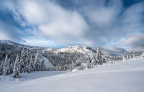 Monte Zoncolan