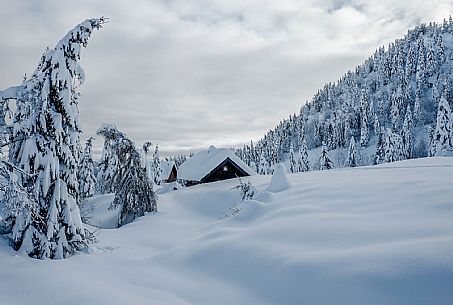 Monte Zoncolan