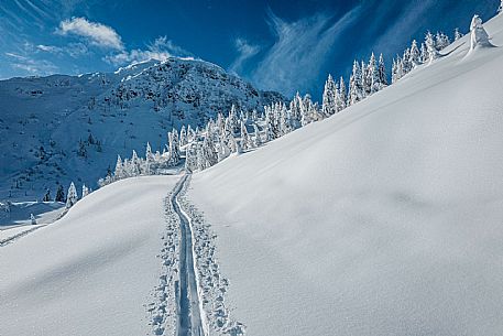 Monte Zoncolan