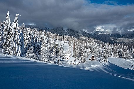 Monte Zoncolan