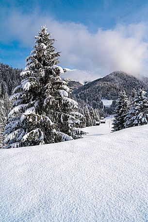 Monte Zoncolan