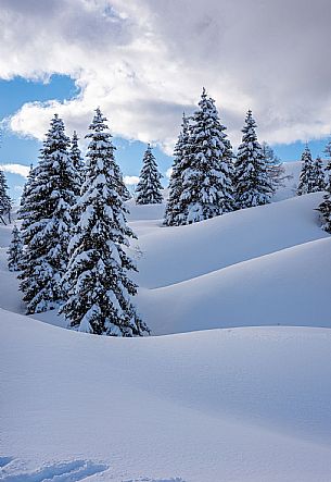 Monte Zoncolan