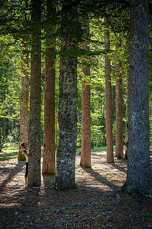 Forest Bathing