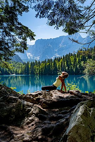 Forest Bathing