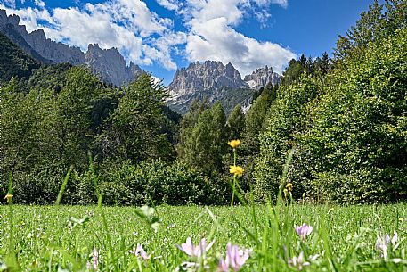 Varmost - Forni di Sopra