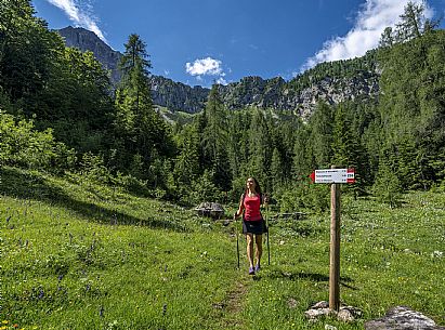 Sentiero Tiziana Weiss - Carnia
