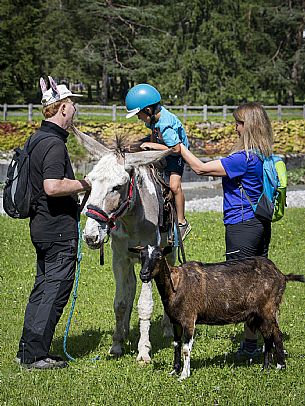 A ride with asino Biagio - Forni di Sopra(Ud)