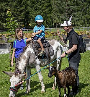 A ride with asino Biagio - Forni di Sopra(Ud)