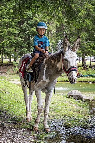 A ride with asino Biagio - Forni di Sopra(Ud)