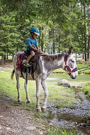 A ride with asino Biagio - Forni di Sopra(Ud)