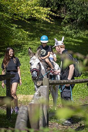 A ride with asino Biagio - Forni di Sopra(Ud)