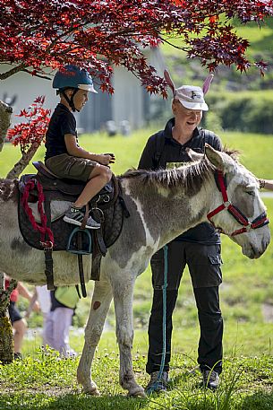 A ride with asino Biagio - Forni di Sopra(Ud)