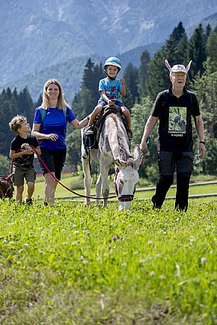 A ride with asino Biagio - Forni di Sopra(Ud)