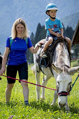 A ride with asino Biagio - Forni di Sopra(Ud)