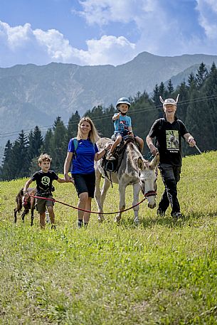 A ride with asino Biagio - Forni di Sopra(Ud)