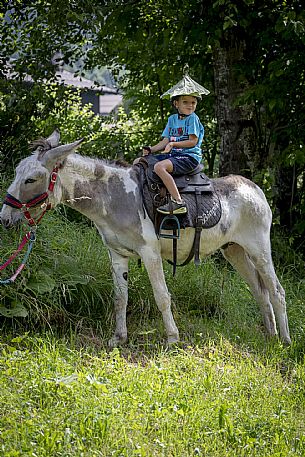 A ride with asino Biagio - Forni di Sopra(Ud)