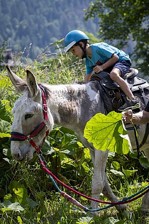 A ride with asino Biagio - Forni di Sopra(Ud)