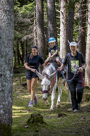 A ride with asino Biagio - Forni di Sopra(Ud)