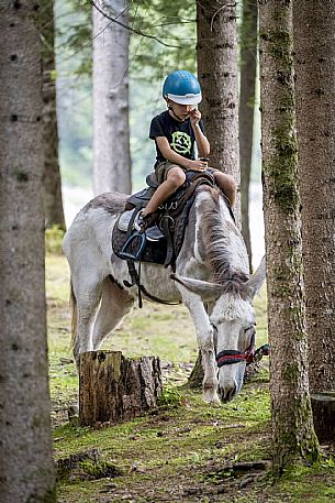 A ride with asino Biagio - Forni di Sopra(Ud)