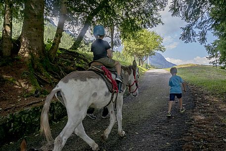 A ride with asino Biagio - Forni di Sopra(Ud)