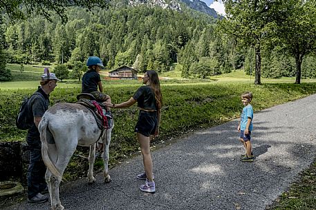 A ride with asino Biagio - Forni di Sopra(Ud)