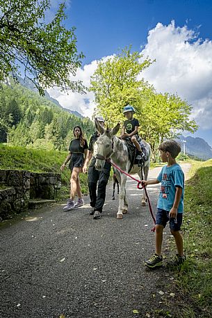 A ride with asino Biagio - Forni di Sopra(Ud)