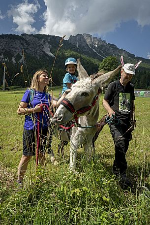 A ride with asino Biagio - Forni di Sopra(Ud)