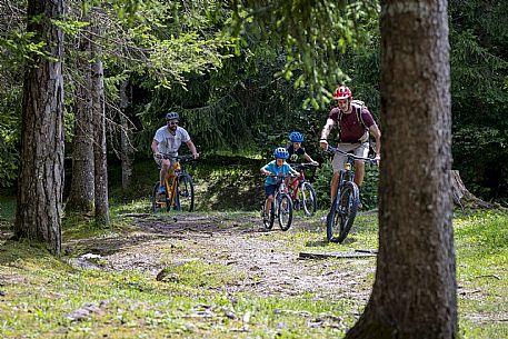 Baby Bike in Forni di Sopra (Ud)