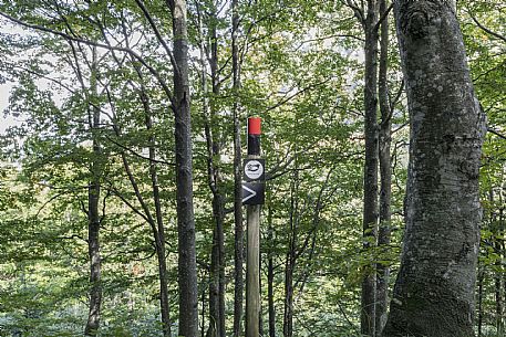 WOP,Slovenia, Kobarid, OUTDOOR MUSEUM ZAPRIKRAJ,Detail of the signage,© Schirra/Giraldi