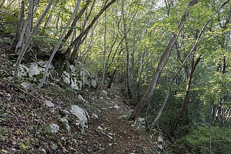 WOP,Italia, San Leonardo, MOUNT SPIG,© Schirra/Giraldi