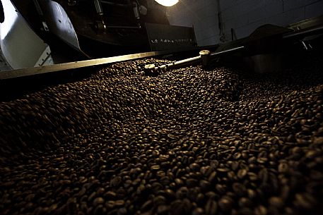 Coffee Processing