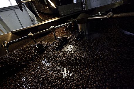 Coffee Processing