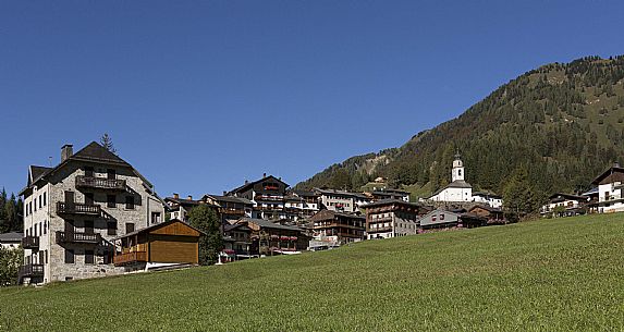 Sauris