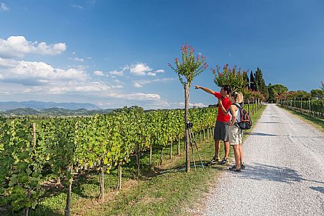 Alpe Adria Trail - Collio