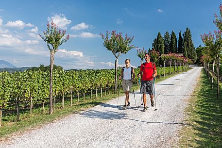 Alpe Adria Trail - Collio