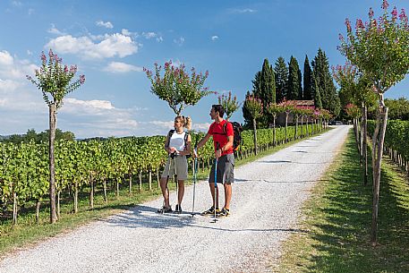 Alpe Adria Trail - Collio