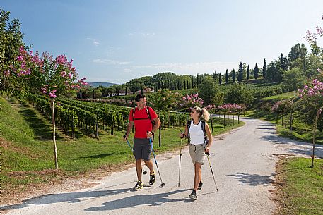 Alpe Adria Trail - Collio