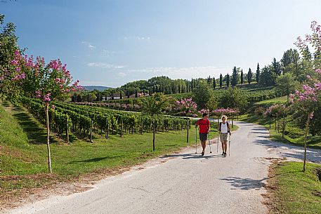 Alpe Adria Trail - Collio