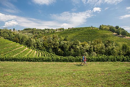 Alpe Adria Trail - Collio