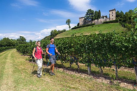 Alpe Adria Trail - Collio