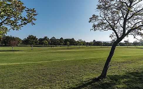 Golf Club Trieste