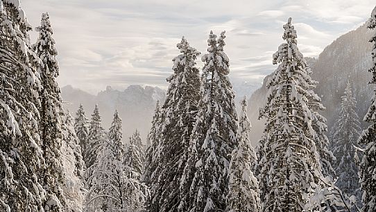 Pramollo pass, landscapes, atmospheres, cross-country skiing, Laghetto Trail, Pontebba, Nassfeld