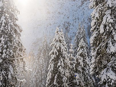 Pramollo pass, landscapes, atmospheres, cross-country skiing, Laghetto Trail, Pontebba, Nassfeld