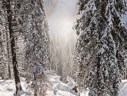 Pramollo pass, landscapes, atmospheres, cross-country skiing, Laghetto Trail, Pontebba, Nassfeld