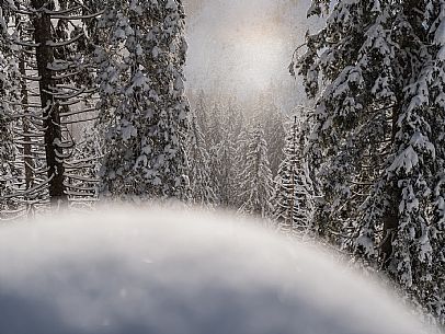 Pramollo pass, landscapes, atmospheres, cross-country skiing, Laghetto Trail, Pontebba, Nassfeld