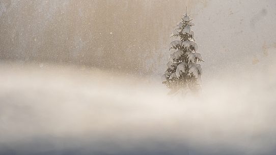 Pramollo pass, landscapes, atmospheres, cross-country skiing, Laghetto Trail, Pontebba, Nassfeld