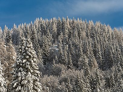 Pramollo pass, landscapes, atmospheres, cross-country skiing, Laghetto Trail, Pontebba, Nassfeld