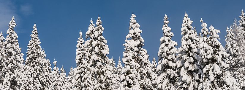 Pramollo pass, landscapes, atmospheres, cross-country skiing, Laghetto Trail, Pontebba, Nassfeld