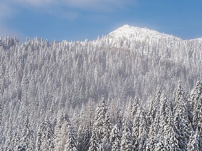 Pramollo pass, landscapes, atmospheres, cross-country skiing, Laghetto Trail, Pontebba, Nassfeld